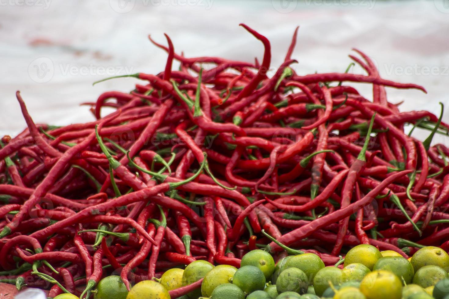 ein Bund geschweifte Chilischote auf dem Verkaufsstand foto