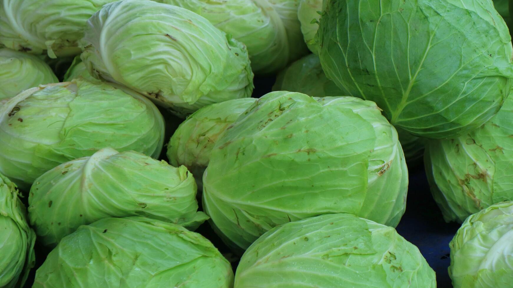 Kohl auf traditionellem traditionellem Markt foto