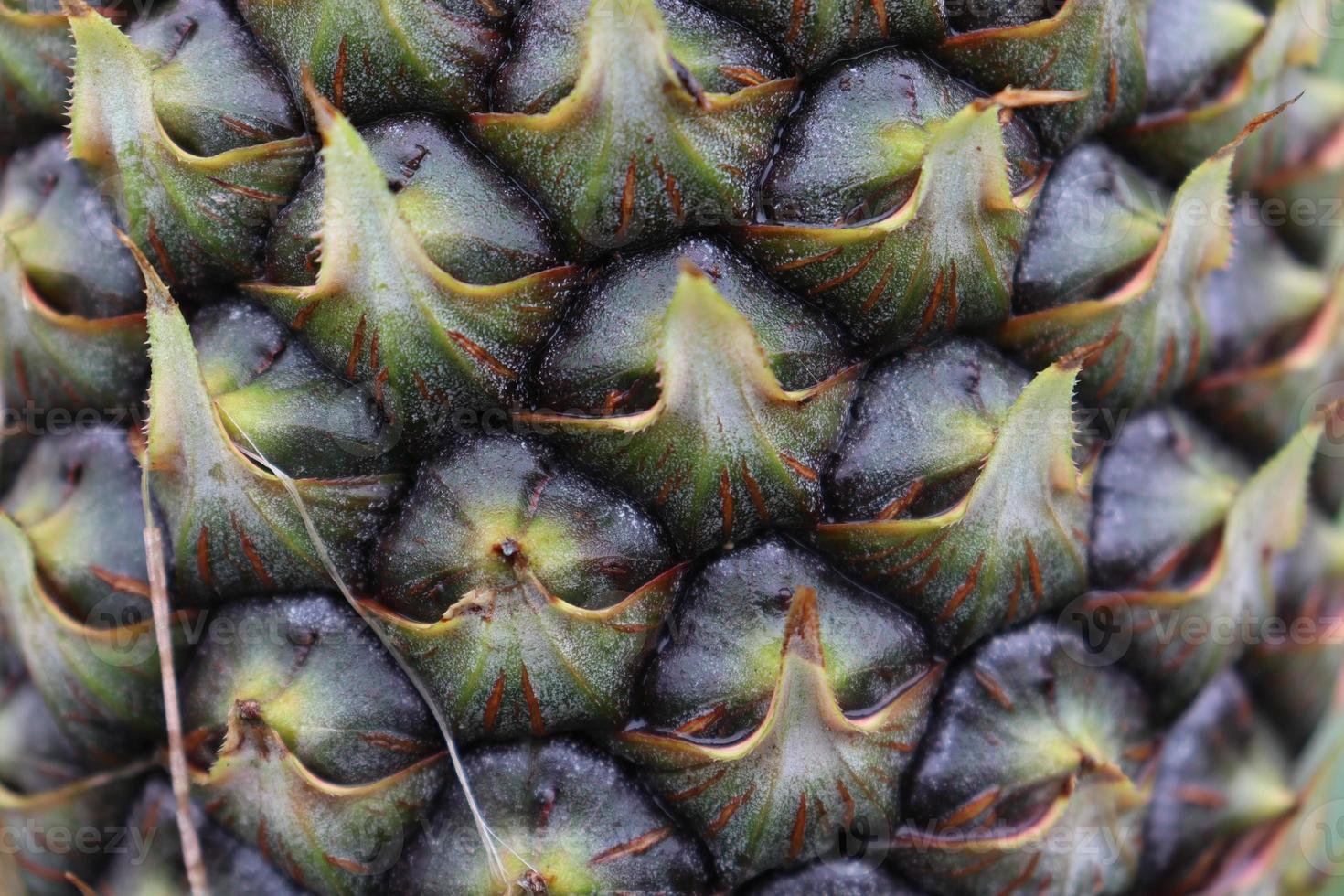 Nahaufnahme des Texturhintergrunds des Ananaskörpers foto