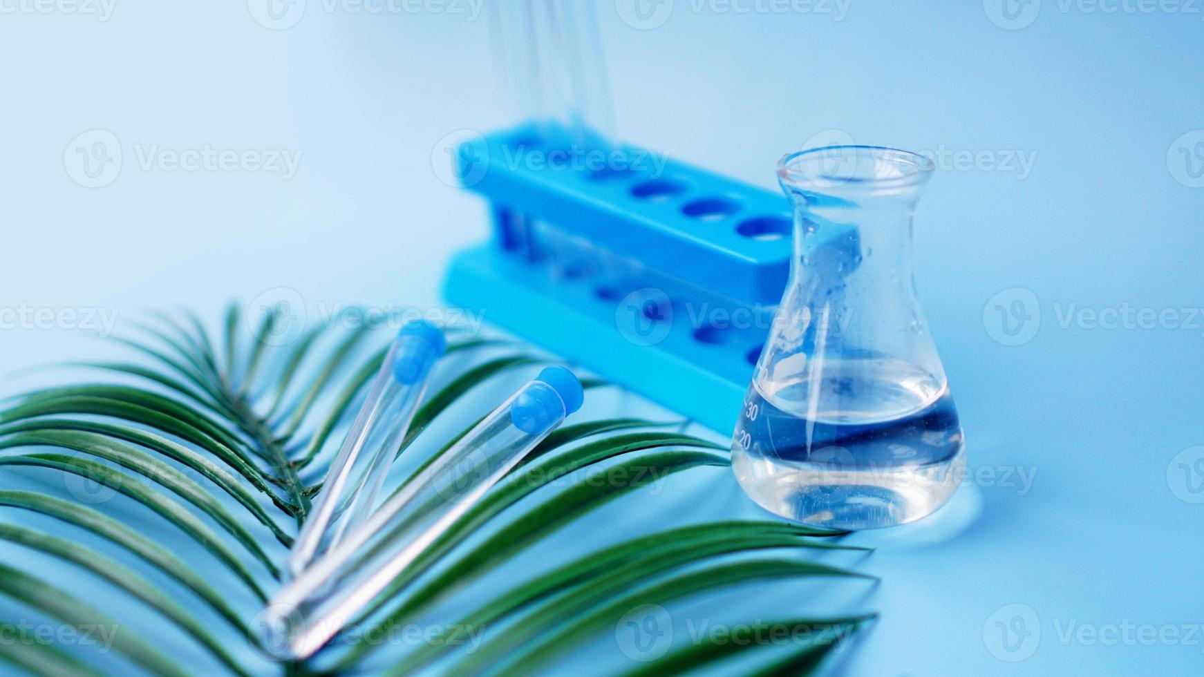 Reagenzgläser auf blauem Grund. tropisches Blatt. tropische Krankheit foto