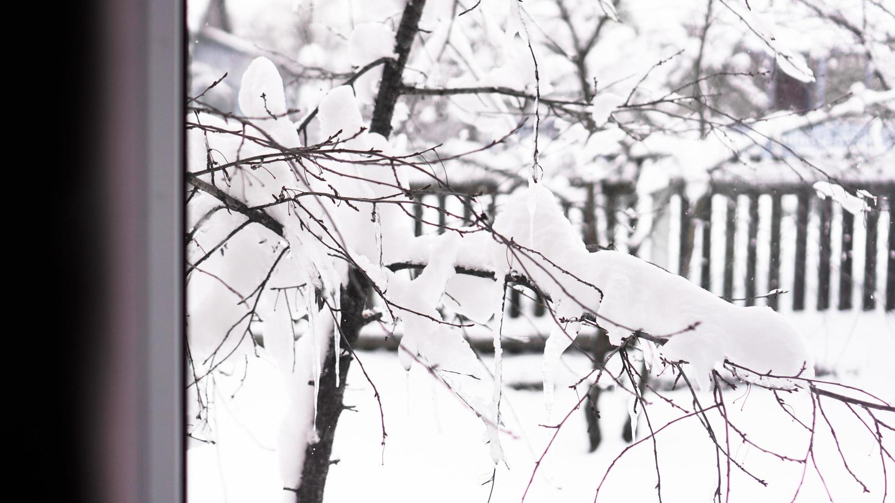 Winterlandschaft durch das Fenster gesehen foto