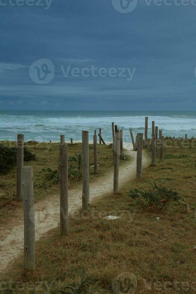 Pfad zu das Strand mit hölzern Stangen im das Vordergrund und Ozean im das Hintergrund foto