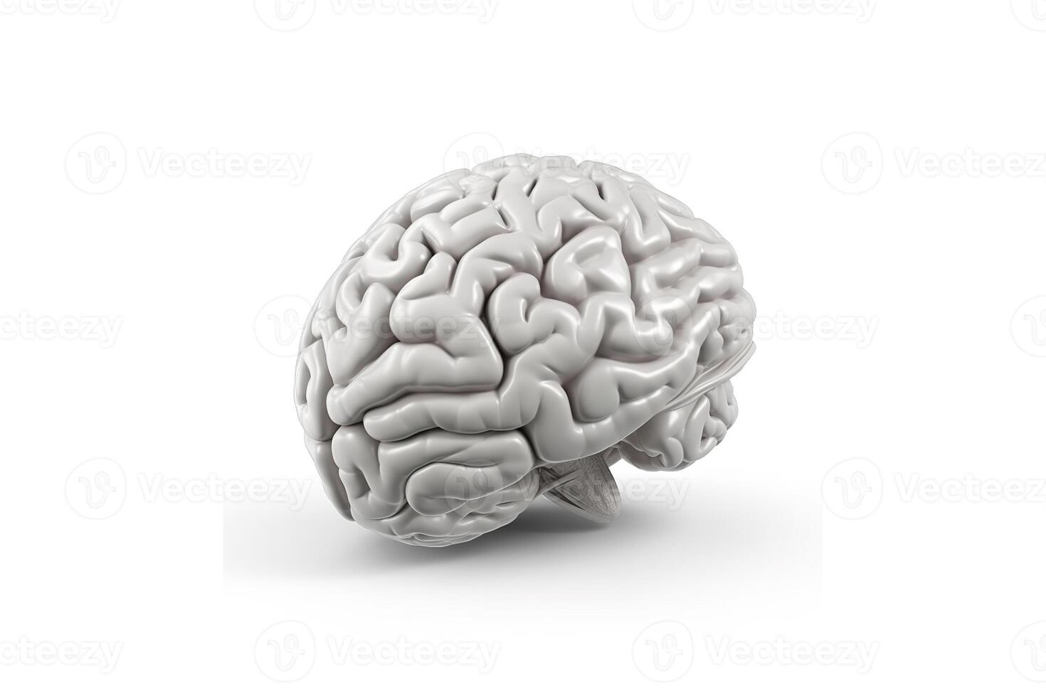 ein 3d Modell- von ein Mensch Gehirn auf ein Weiß Hintergrund. ai generativ foto
