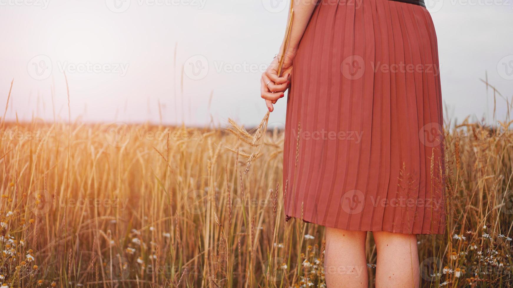 Frau im Weizenfeld, Frau hält Weizenähre in der Hand foto