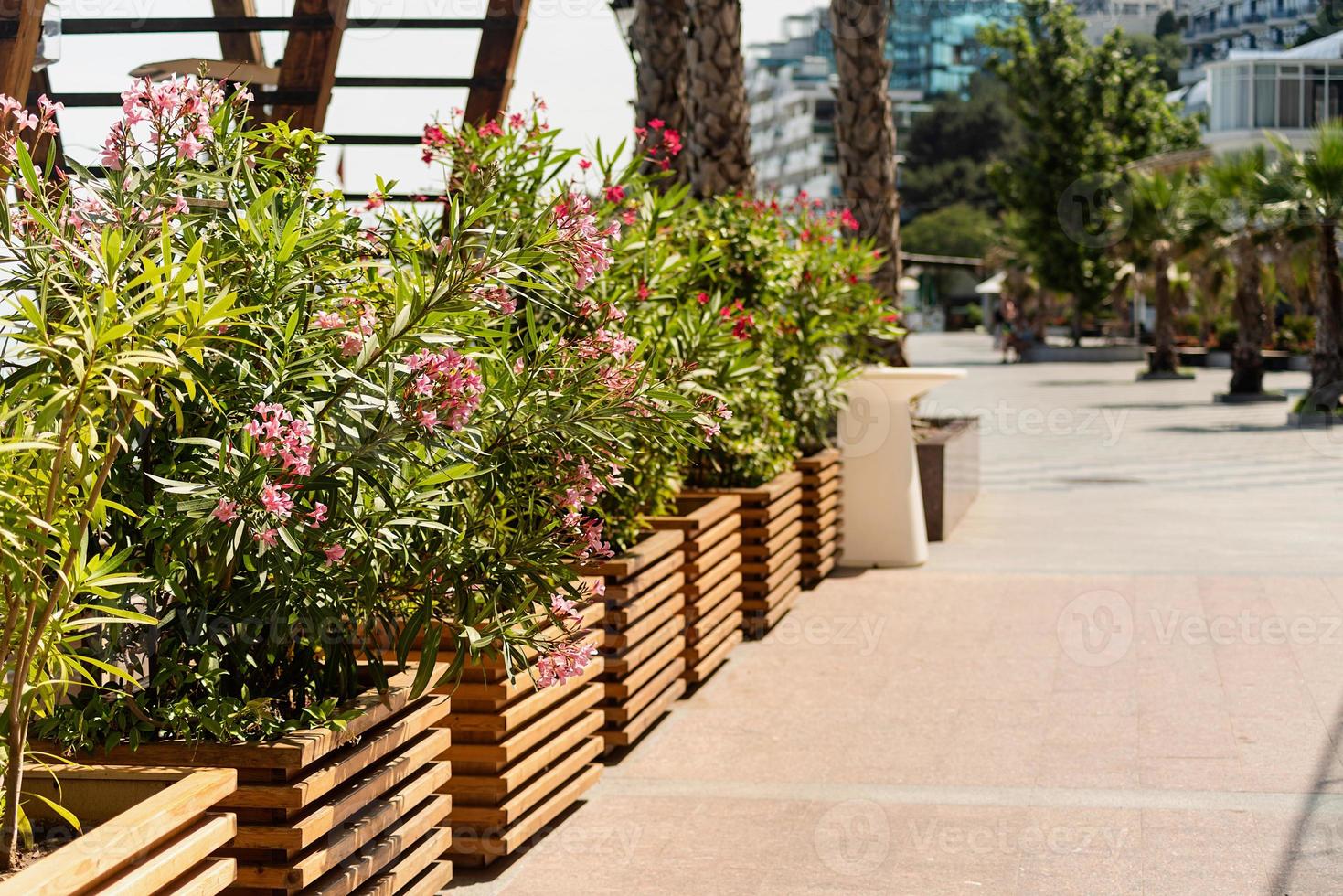 schöner Stadthintergrund mit Blumenbeeten im Hintergrund foto