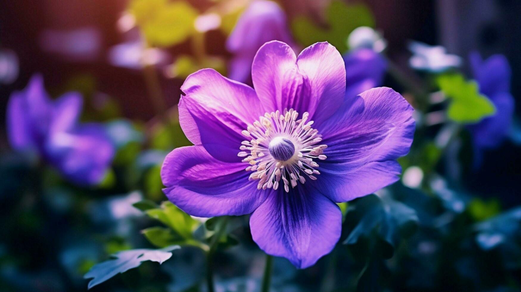 lila Blume im Natur schließen oben von Pflanze Sommer- Schönheit foto