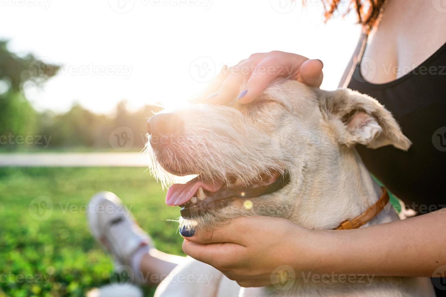 junge attraktive Frau, die ihren Hund im Park umarmt foto