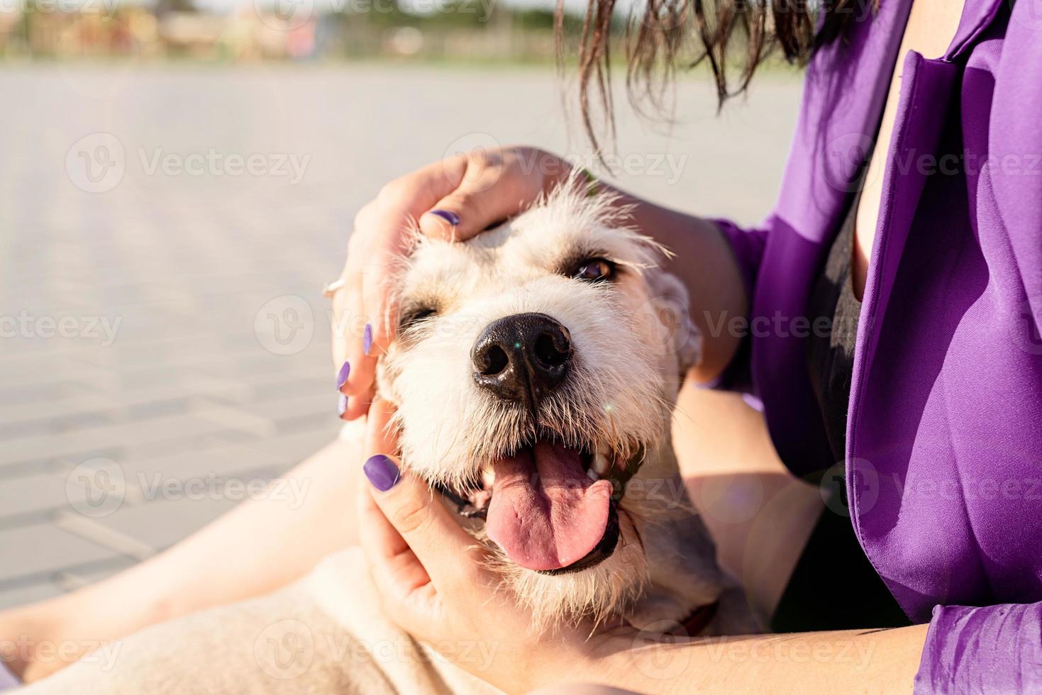 junge attraktive Frau, die ihren Hund im Park umarmt foto