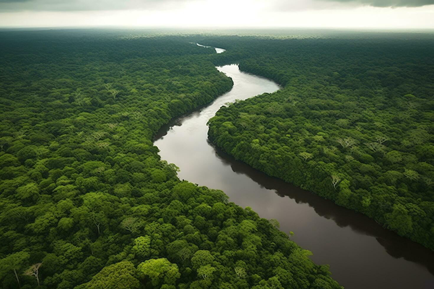 Antenne Aussicht von das Amazonas Urwald Landschaft mit Fluss biegen. generativ ai foto