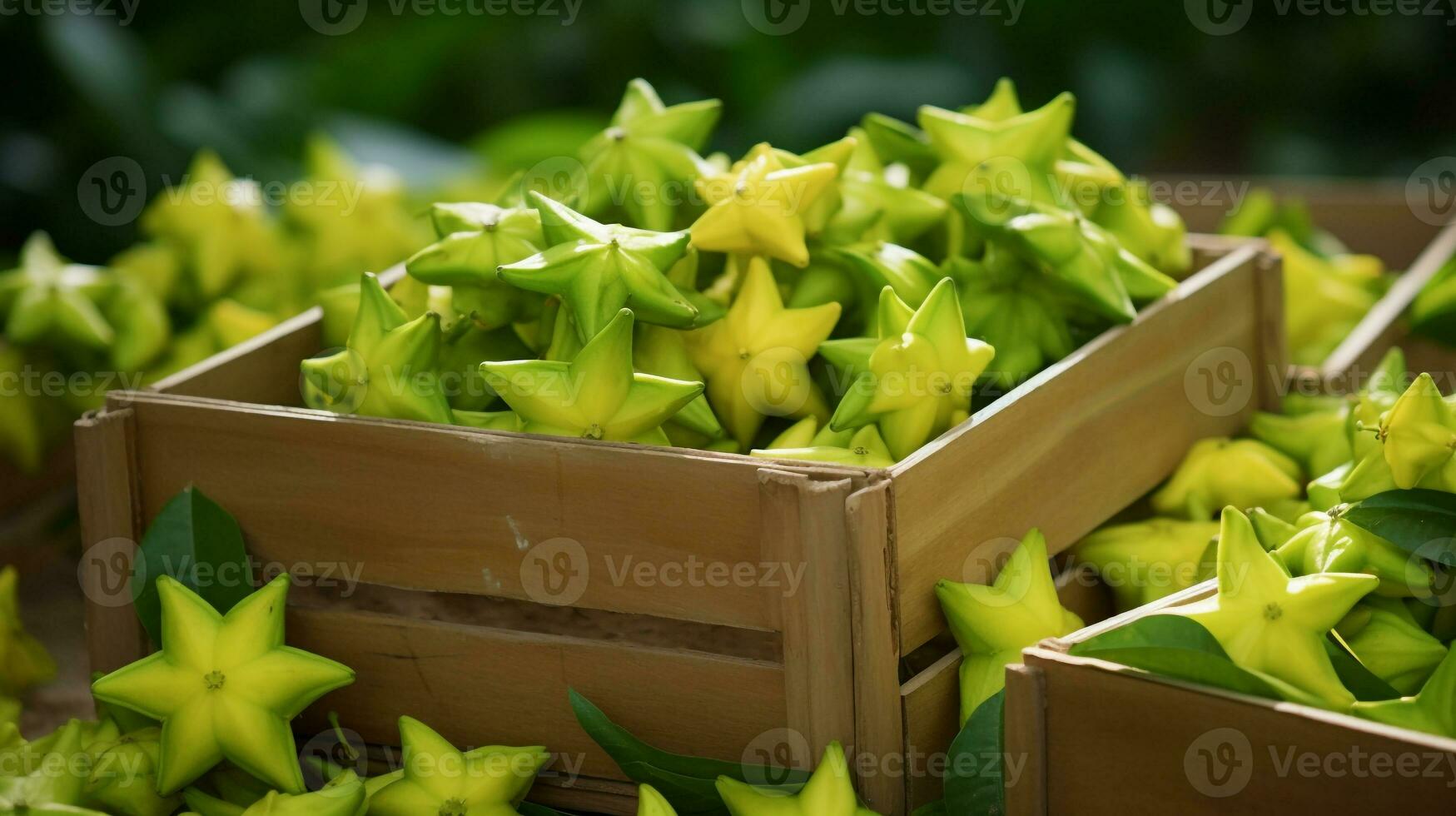 frisch gepflückt Sternfrucht von Garten platziert im das Boxen. generativ ai foto