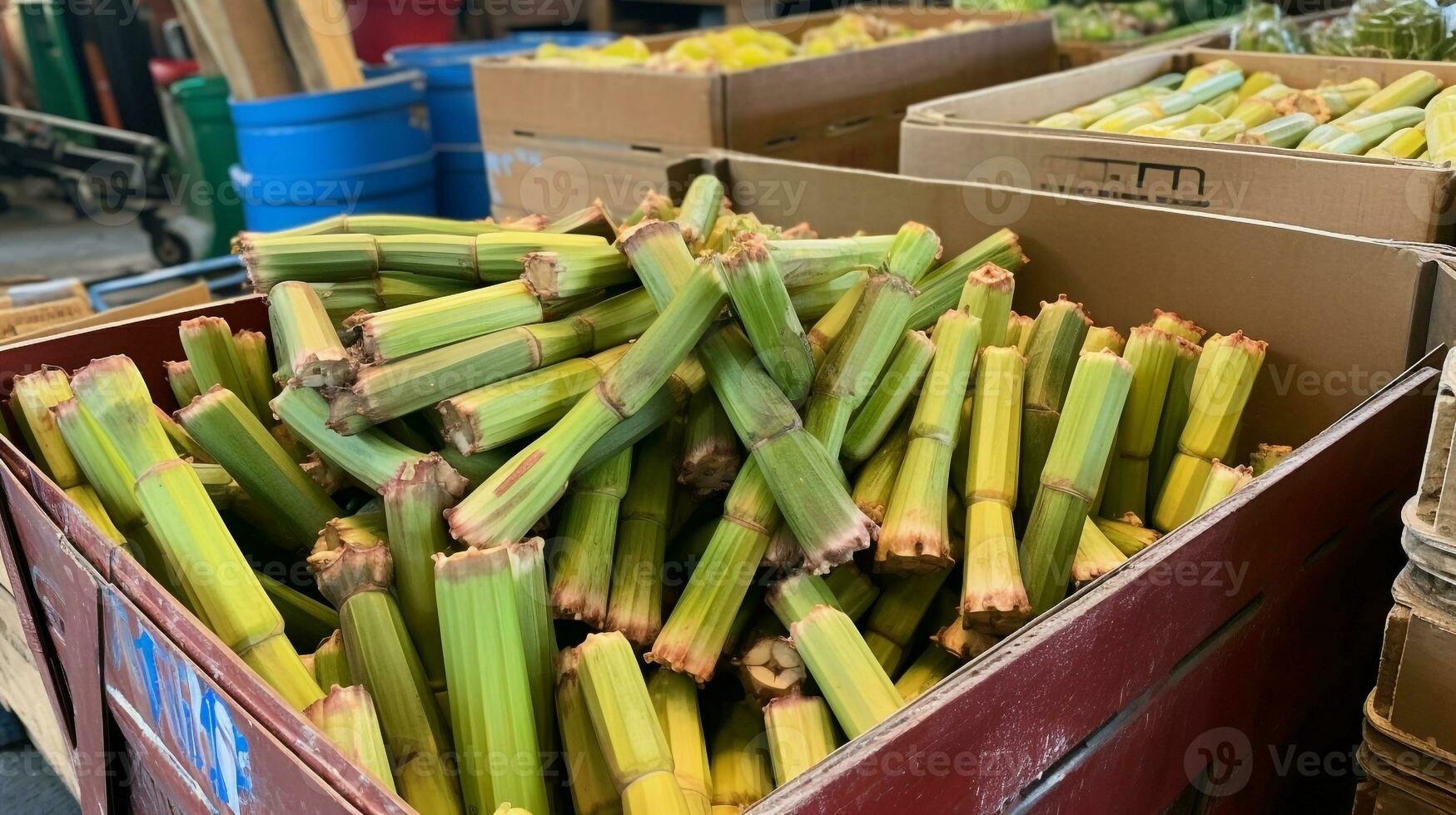 frisch gepflückt Zuckerrohr Obst von Garten platziert im das Boxen. generativ ai foto