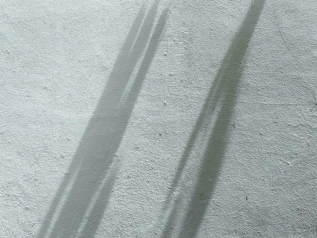 Blätter Schatten Hintergrund auf Beton Mauer Textur, Blätter Baum Geäst Schatten mit Sonnenlicht foto