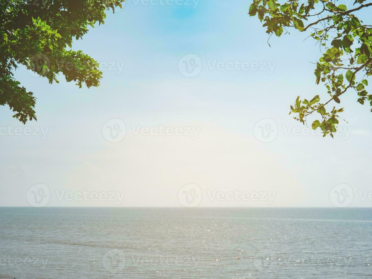 Meer Strand Hintergrund Bild mit tropisch dekoriert Geäst im Sommer- Konzept. foto