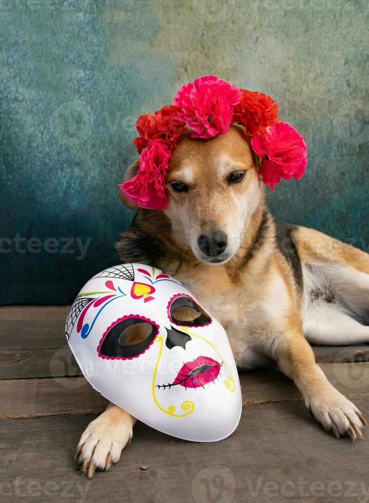 Hund mit Blume Krone und Calaca zum das Tag von das tot foto