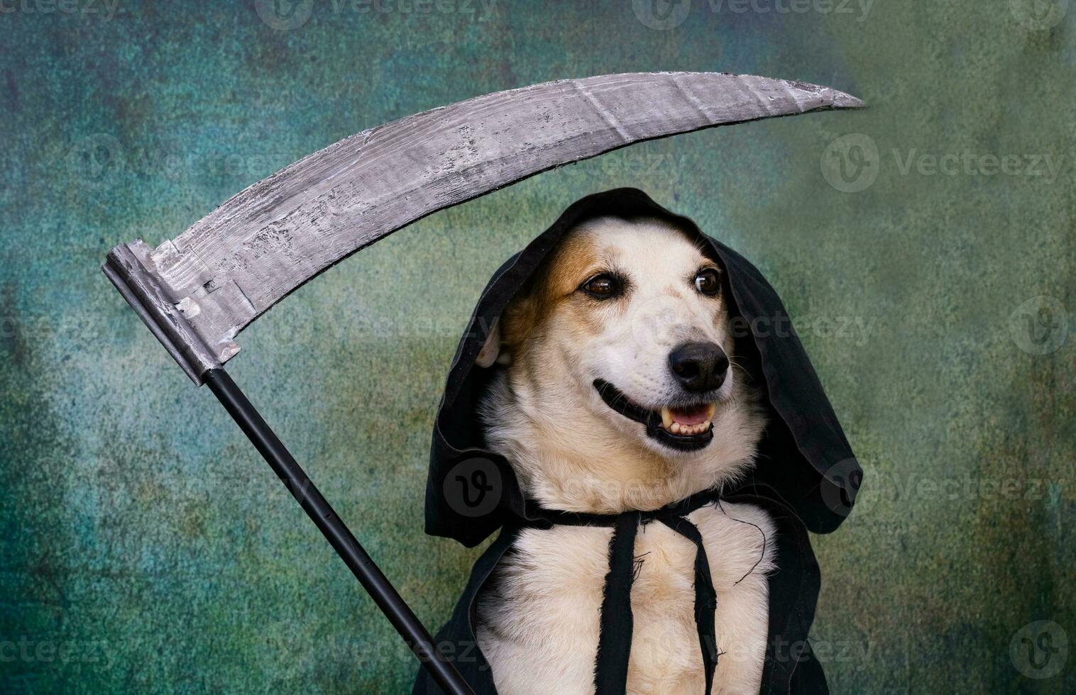Hund gekleidet im schwarz Kap mit Kapuze und Sense foto