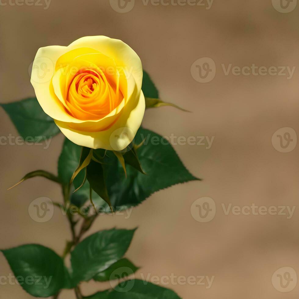 Gelb Rose isoliert Hintergrund. ai generiert foto
