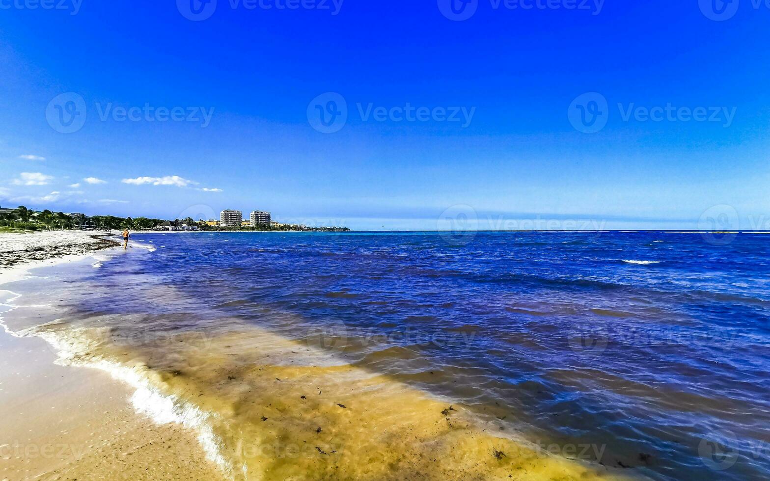 tropischer mexikanischer Strand klares türkisfarbenes Wasser Playa del Carmen Mexiko. foto