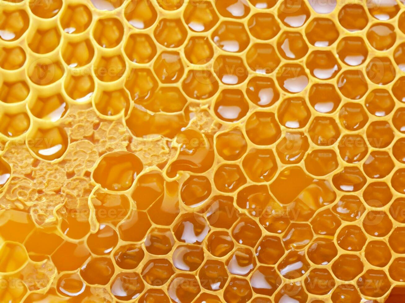 schließen oben Bienenwabe mit Honig. foto