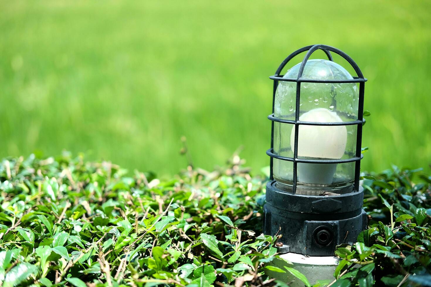 Solar- Laterne und elektrisch Lampe in der Nähe von das Garten Grün Feld. Technologie Beleuchtung Konzept foto