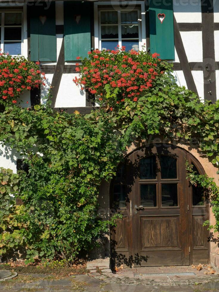 Der Schwarzwald in Deutschland foto