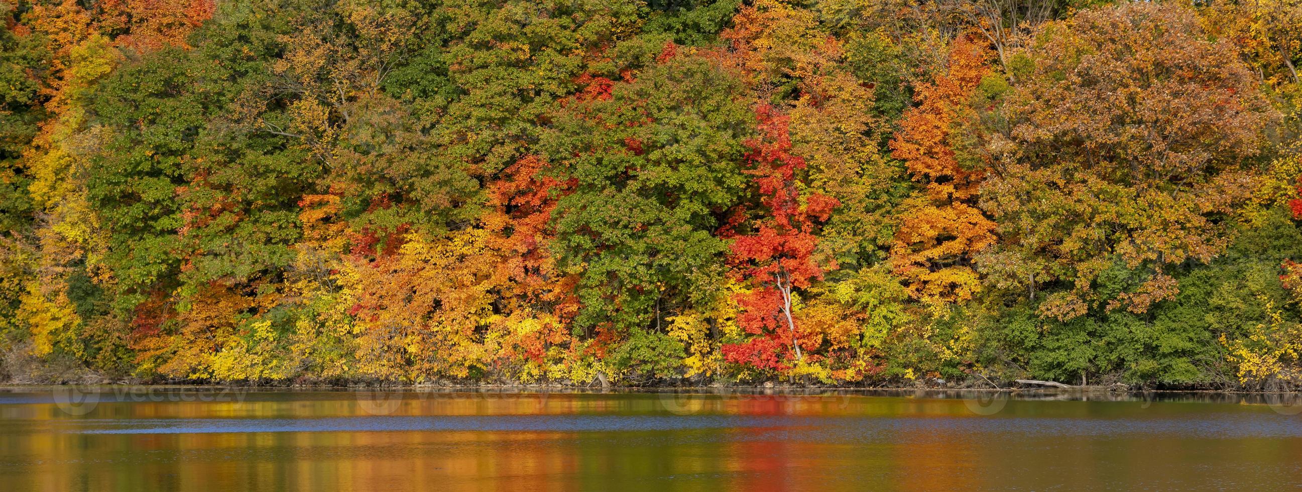 Panoramablick auf üppiges Herbstlaub im ländlichen Michigan? foto