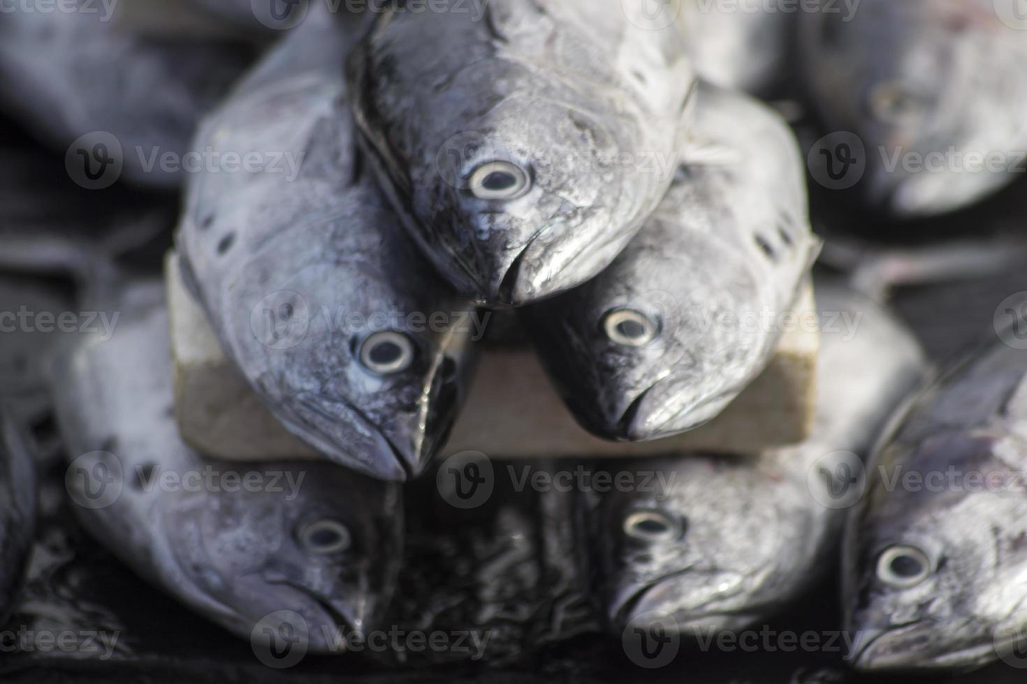 die verschiedenen Meeresfrüchte, die auf dem Fischmarkt verkauft werden foto