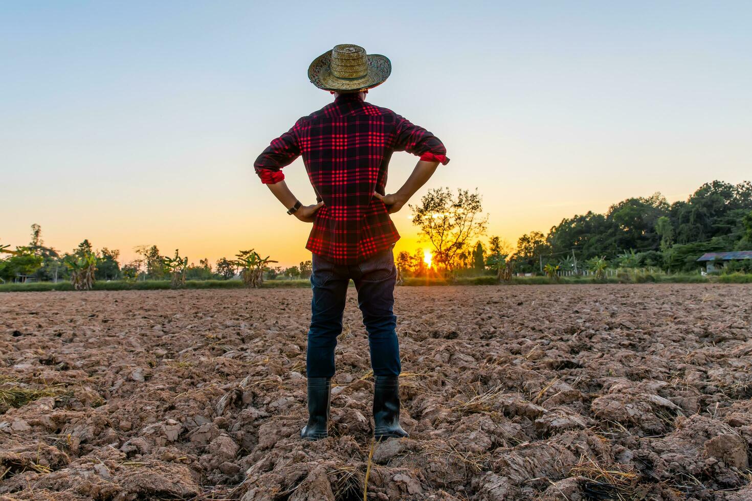 Farmer Arbeiten auf Feld beim Sonnenuntergang draussen foto