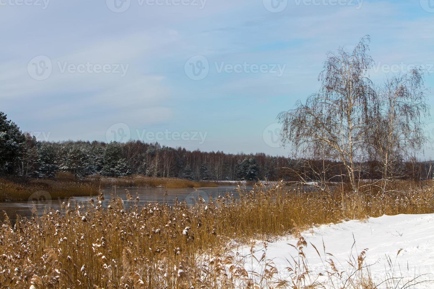 Blick vom Ufer des mit dünnem Eis bedeckten Flusses foto