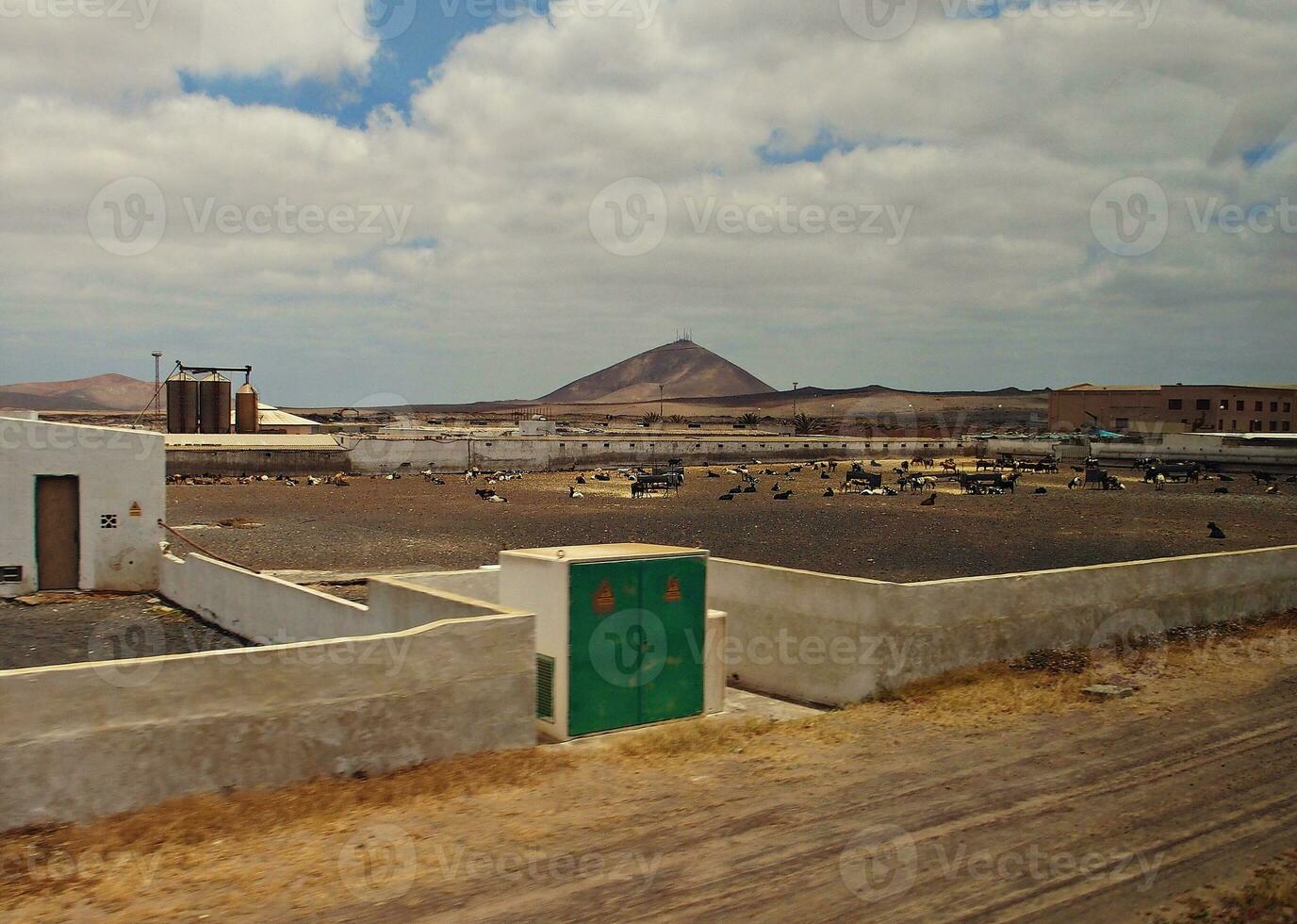 Landschaft mit das Stadt charakteristisch Weiß Gebäude von das Spanisch Insel von Lanzarote auf ein warm Sommer- Tag foto