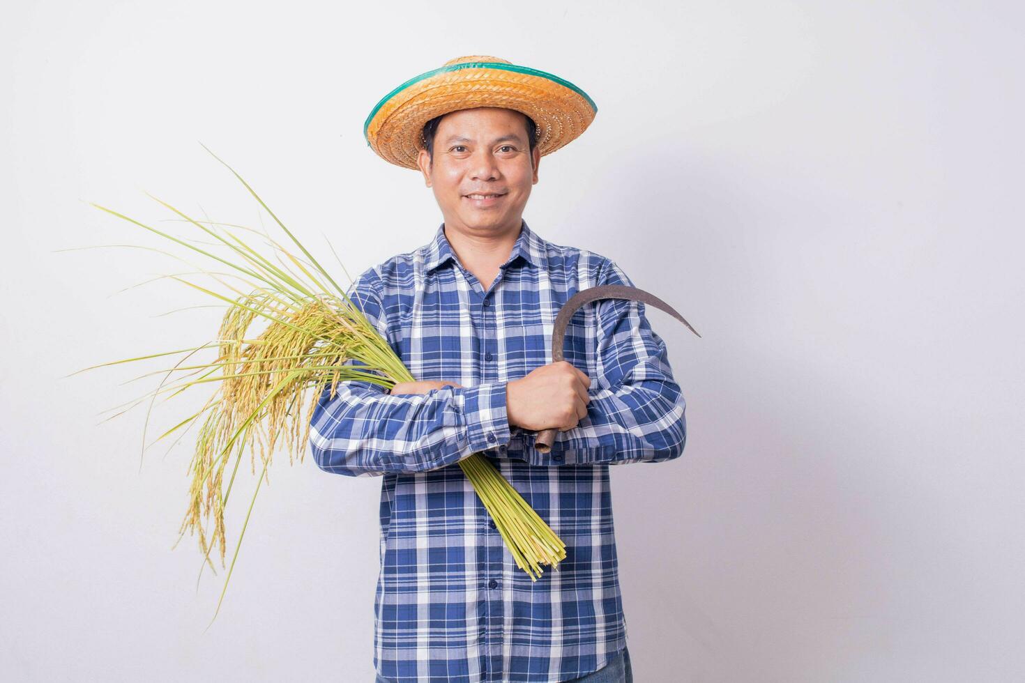 asiatisch Farmer im ein gestreift Hemd halten ein Sichel und Ernte Reis Körner auf ein Weiß Hintergrund. foto