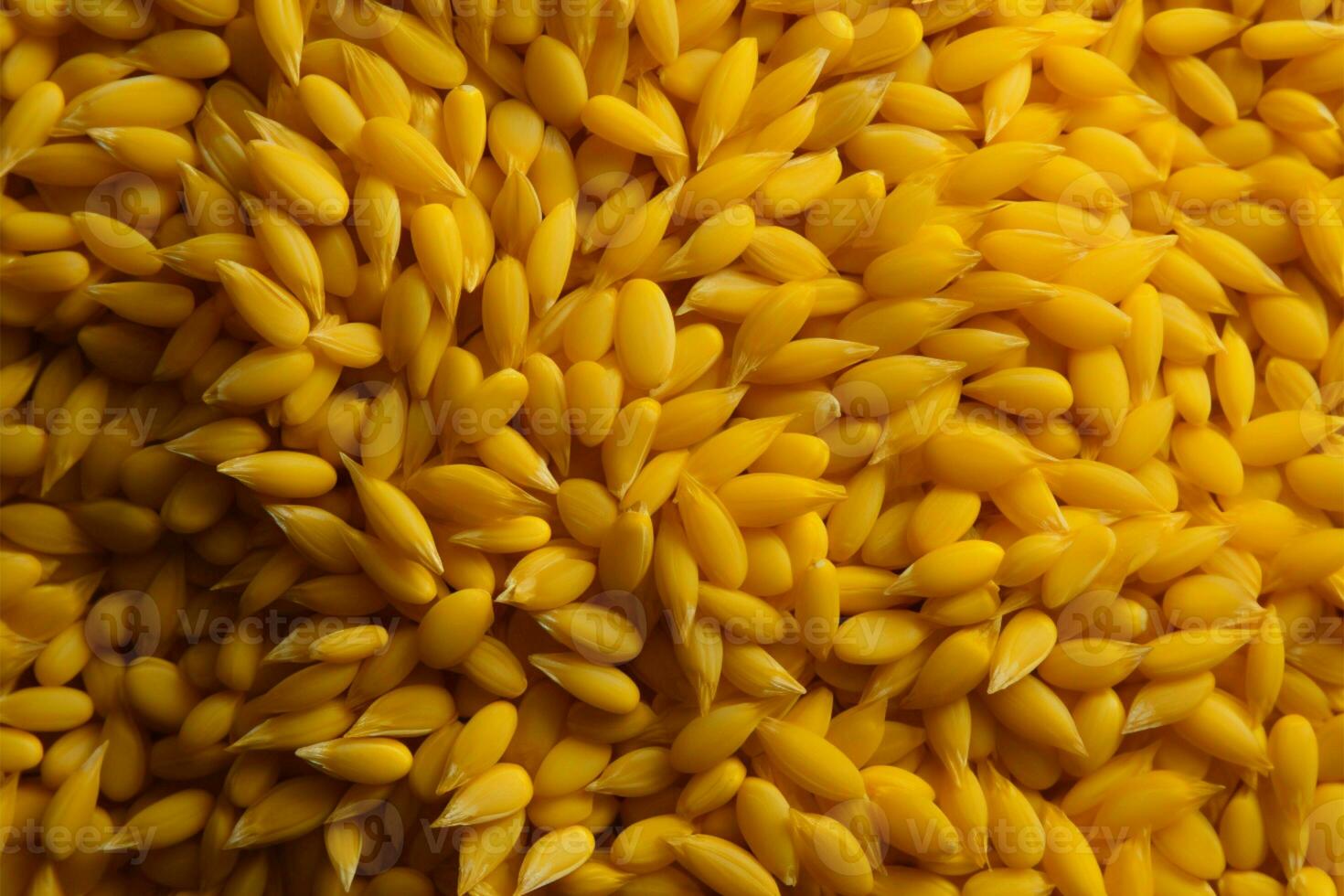 eben Aussicht von Weizen Beeren im Gelb Farbton, berührt durch Schleimigkeit ai generiert foto