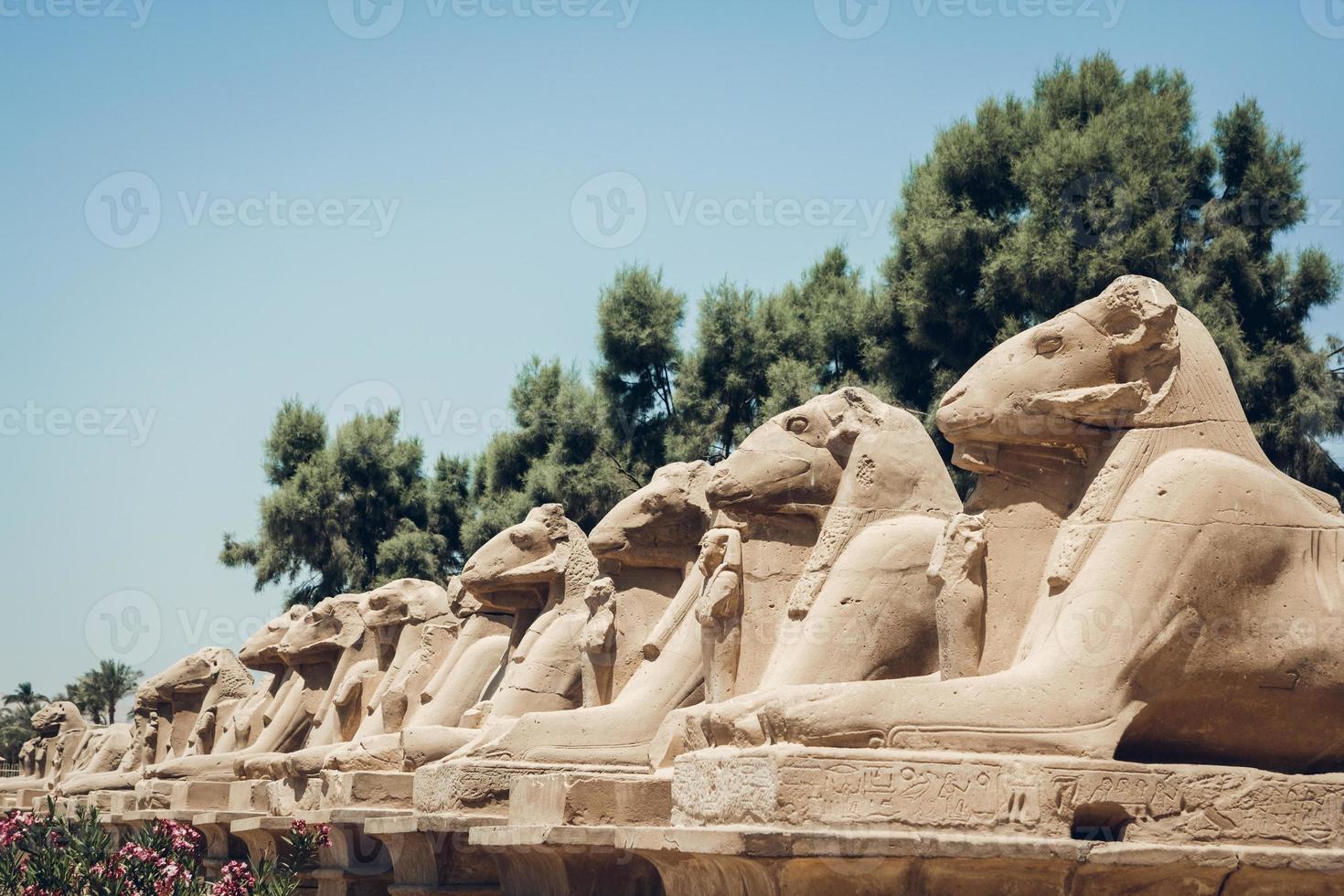 Statuen von Sphinxen mit Hieroglyphen im Karnak-Tempel in Luxor, Ägypten foto