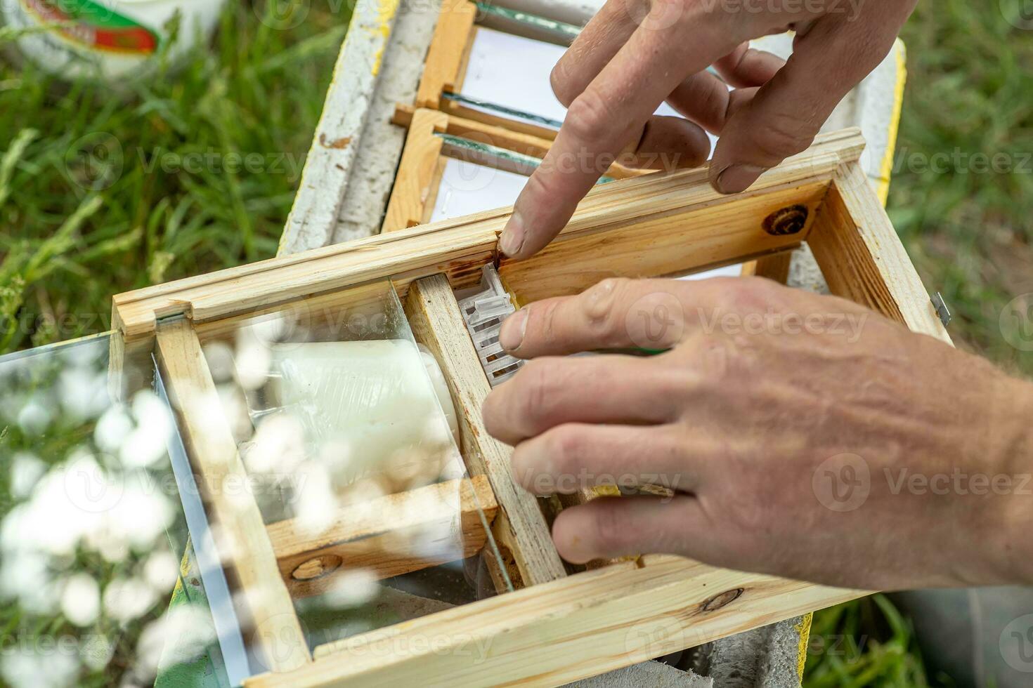 Imker halten ein klein Kern mit ein jung Königin Biene. Zucht von Königin Bienen. Bienenstöcke mit Waben. Vorbereitung zum künstlich Besamung Bienen. natürlich Wirtschaft. Königin Biene Käfige foto