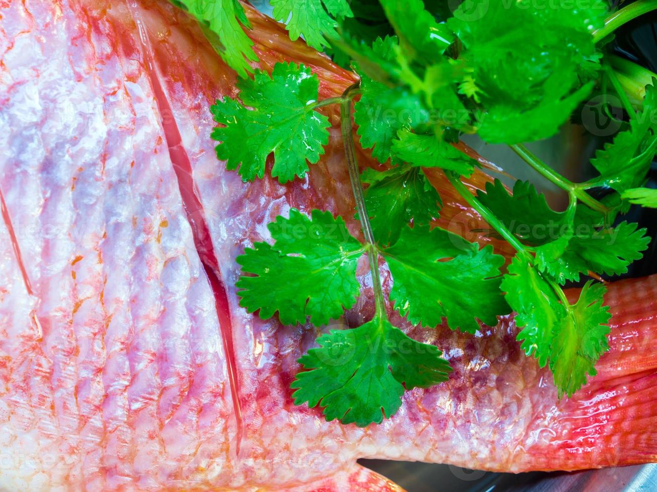 frischer Fisch wird gefroren zum Kochen vorbereiten foto