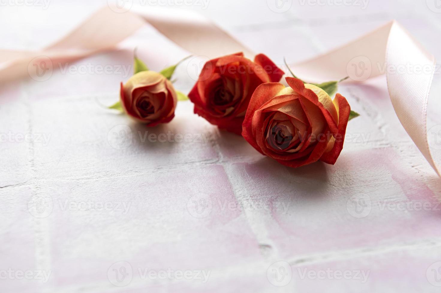 Rahmen aus roten Rosen und Blütenblättern foto