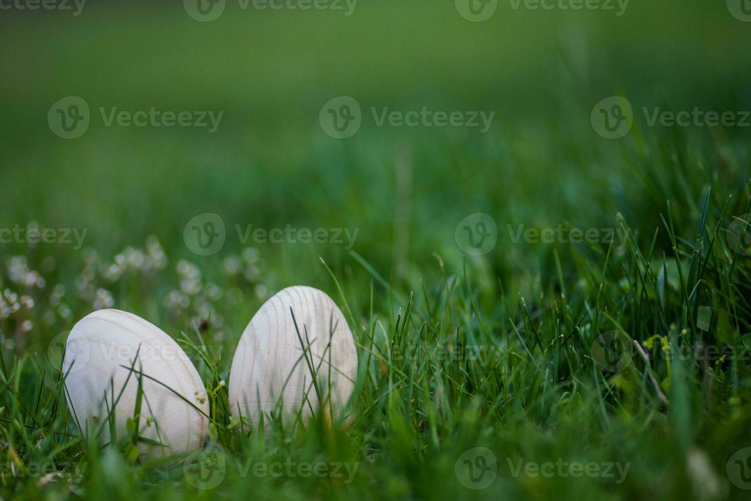 zwei Weiß Ostern Eier mit ein Ast von Aprikose im Grün Gras. Ostern Hintergrund. Suche zum Eier beim Ostern. foto