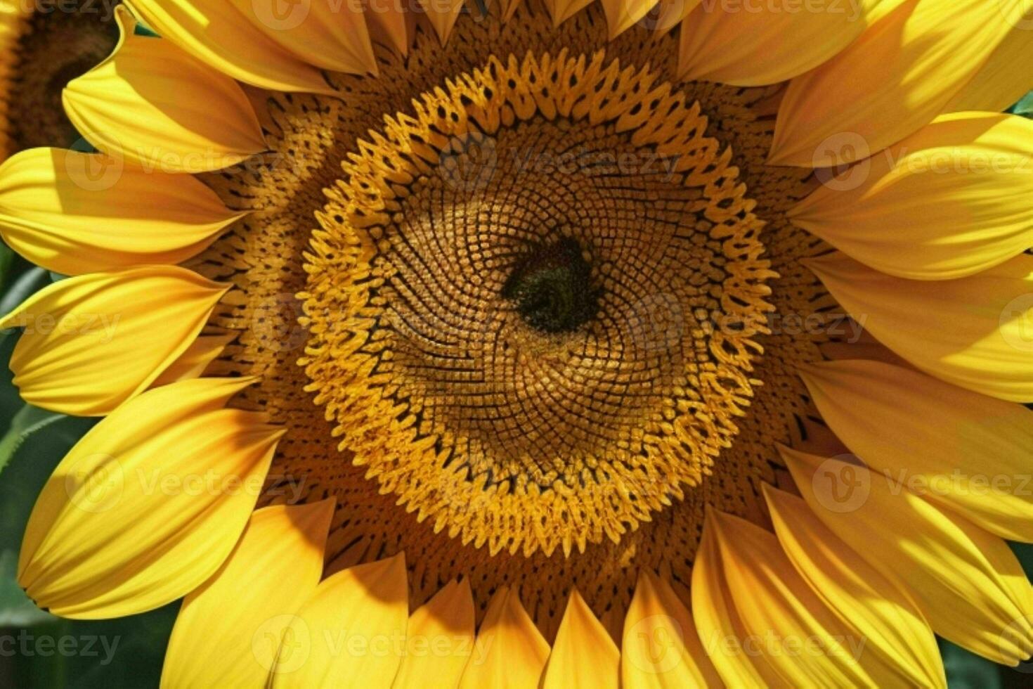 Sonnenblume. Hintergrund. ai generativ Profi Foto