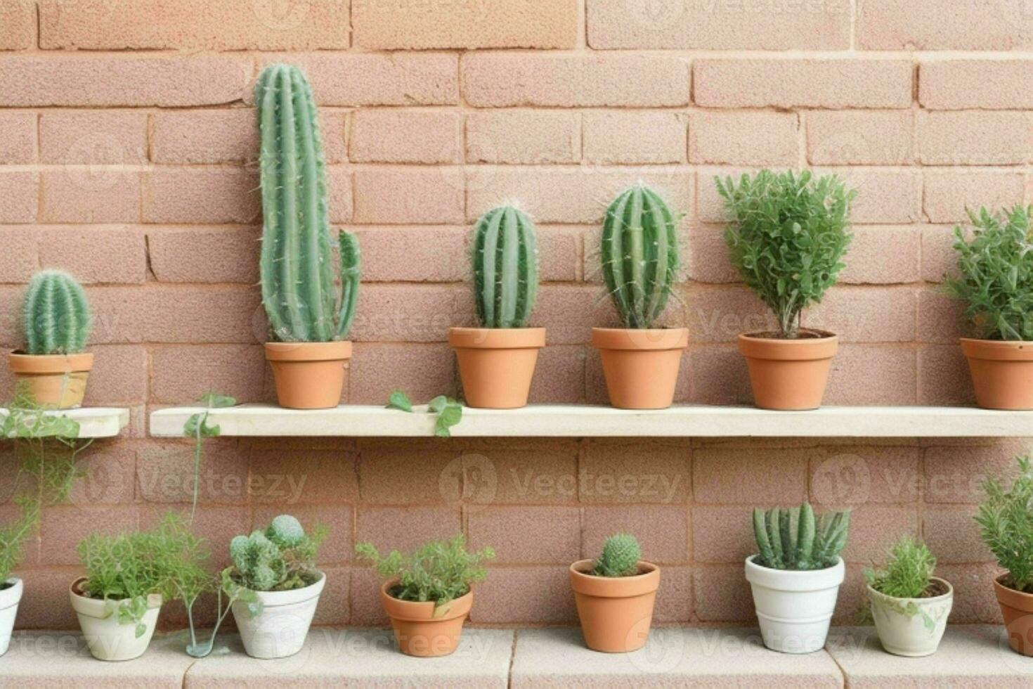 Regale mit anders Kombinationen von Kaktus und Töpfe. Hintergrund. ai generativ Profi Foto