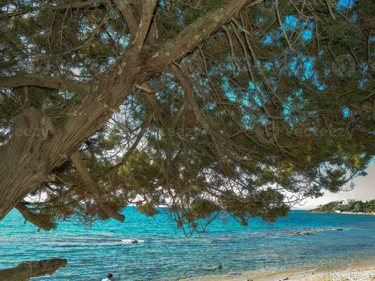 der Strand von Katakolon foto