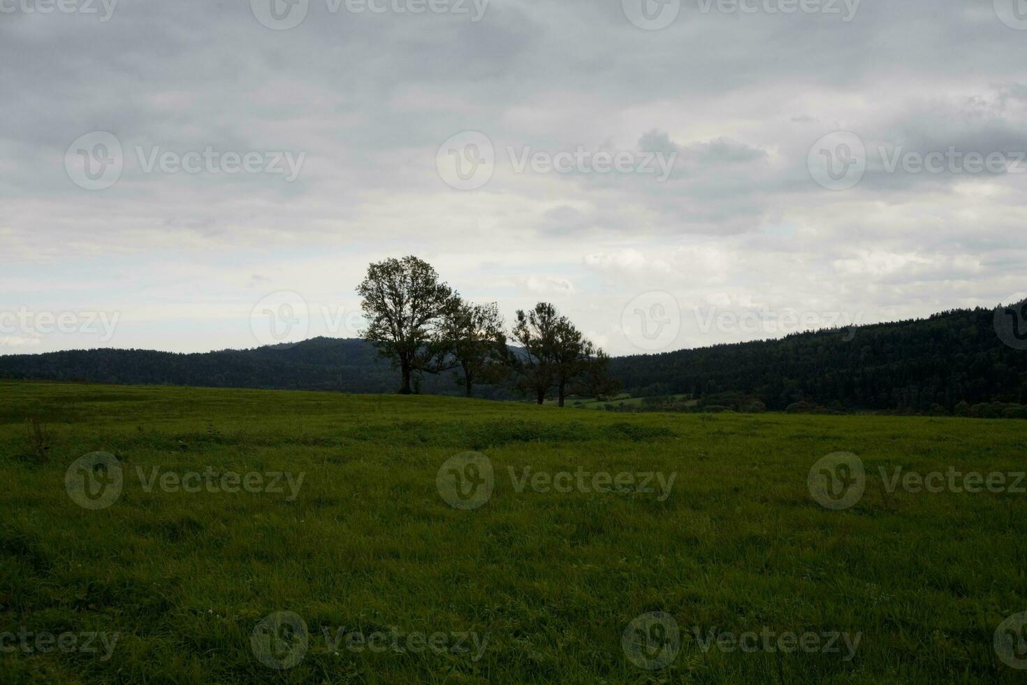 Landschaft von Natur foto