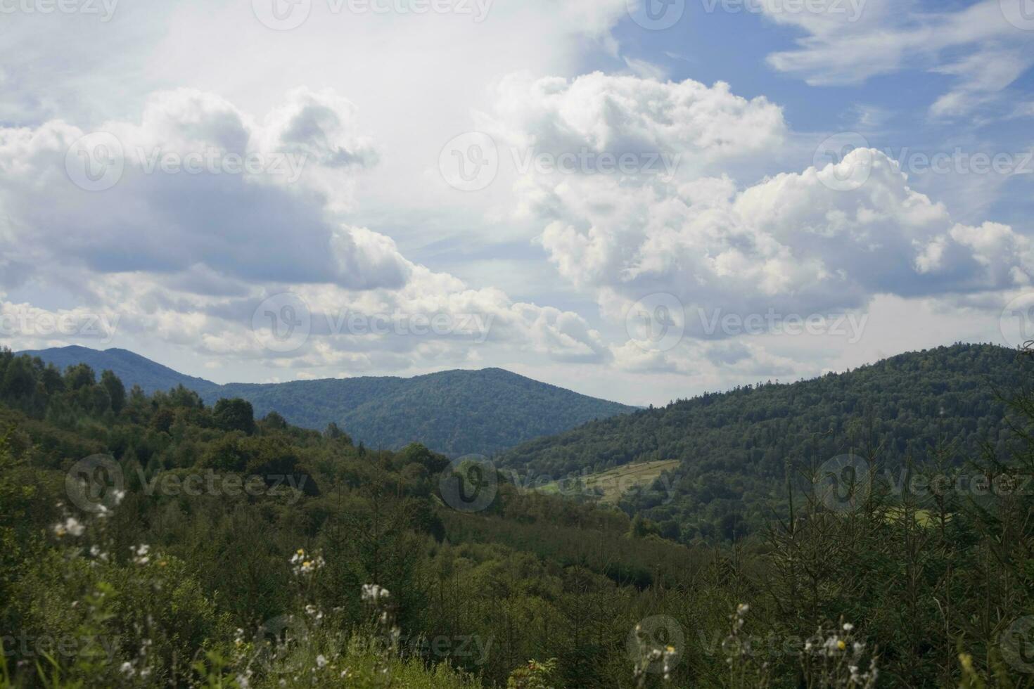 Landschaft von Natur foto