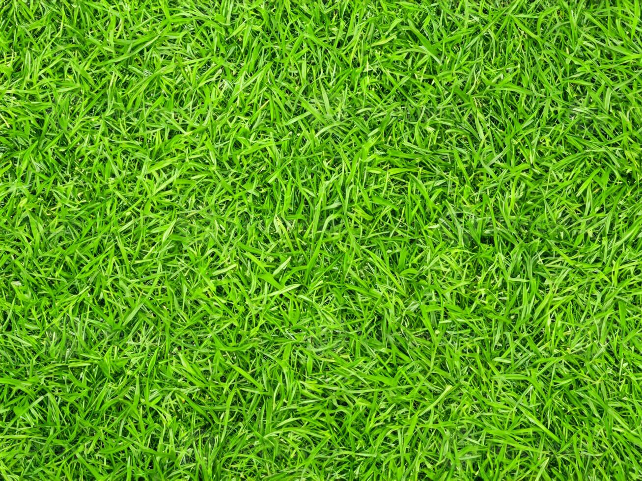 frisch Gras auf das Rasen. Hintergrund foto