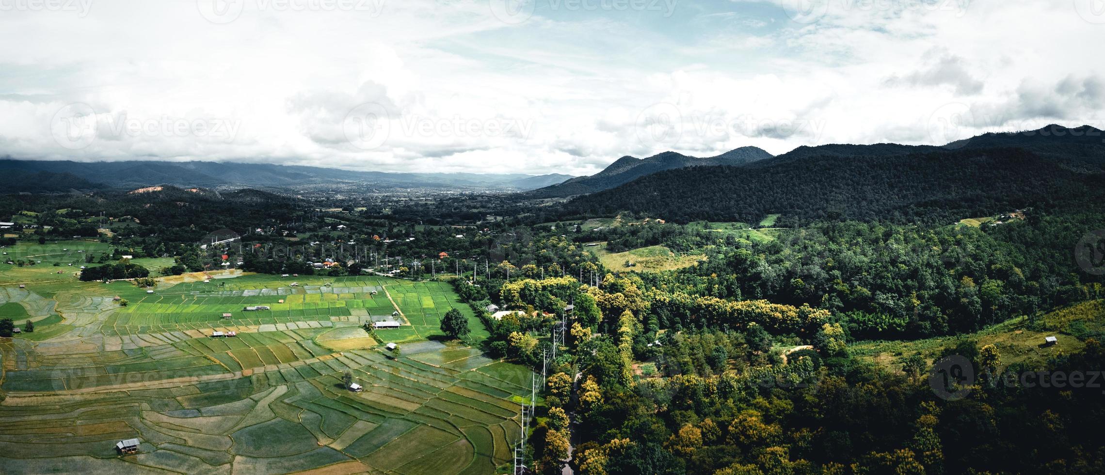 Landschafts-Reisfeld in Asien, Luftaufnahme von Reisfeldern foto