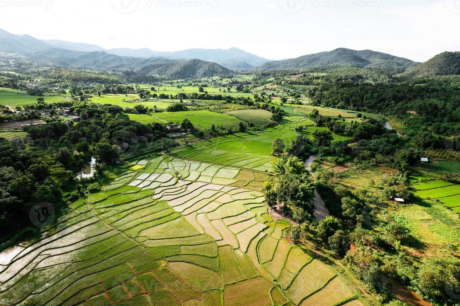 Landschafts-Reisfeld in Asien, Luftaufnahme von Reisfeldern foto