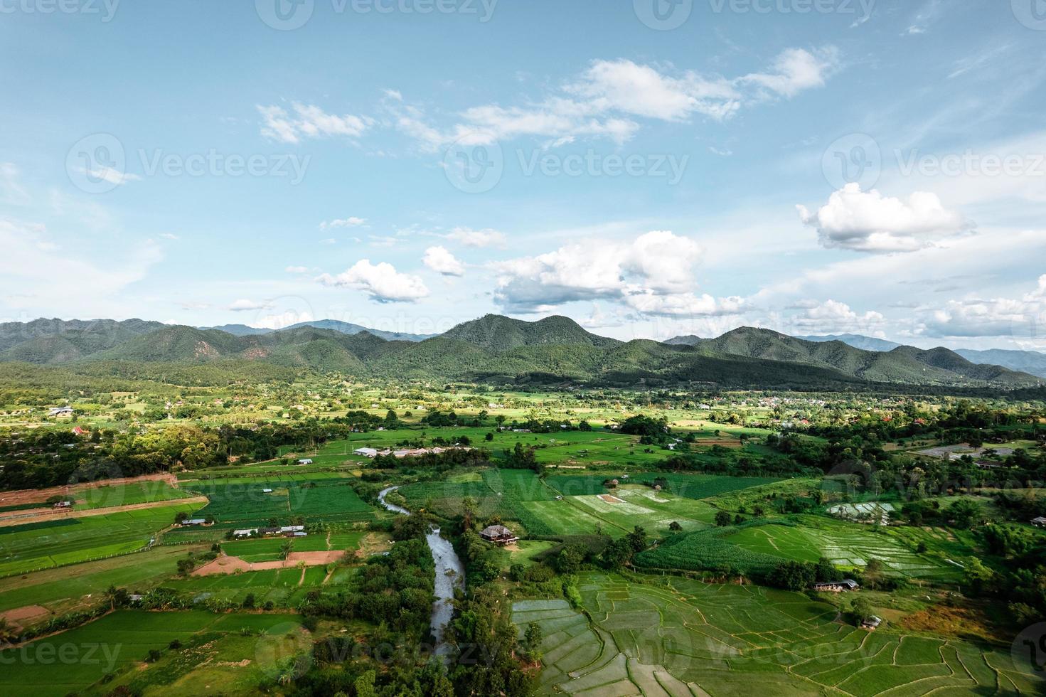 Landschafts-Reisfeld in Asien, Luftaufnahme von Reisfeldern foto