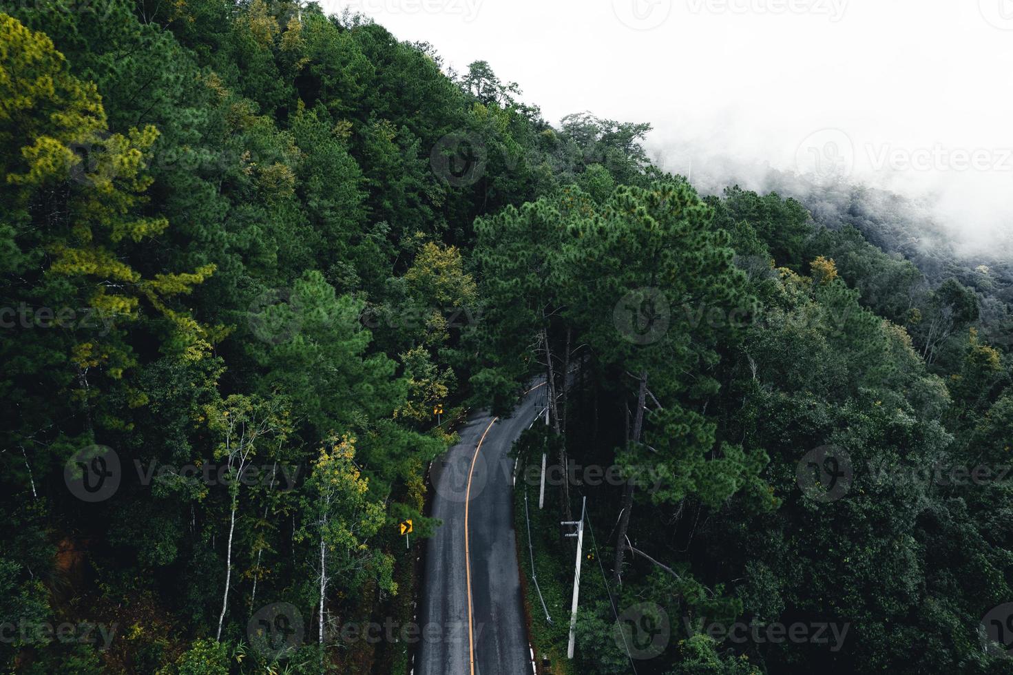 Straße im Wald Regenzeit Natur Bäume und Nebel Reisen foto