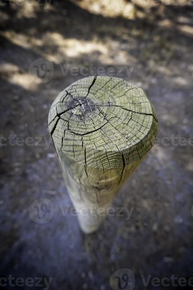 Holzstab auf dem Boden foto