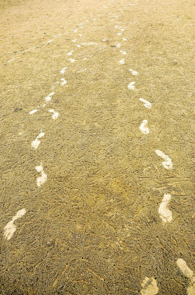 der Fußabdruck von Menschen am Sandstrand, Weg des Fußabdrucks foto