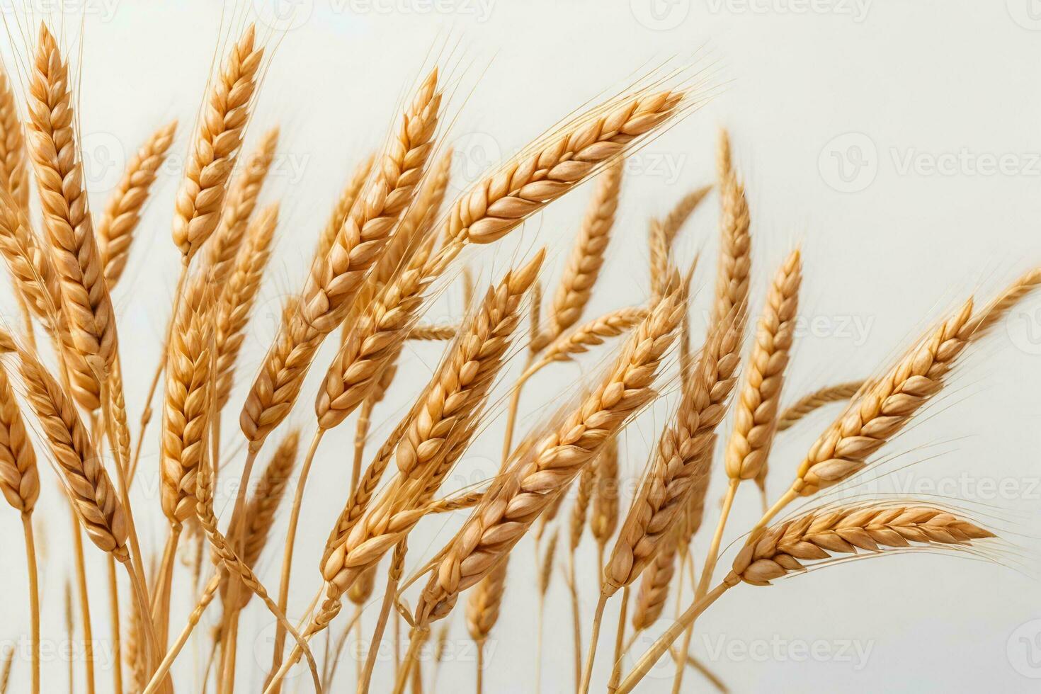 Strauß Ohr von Weizen Hintergrund, ai generiert foto