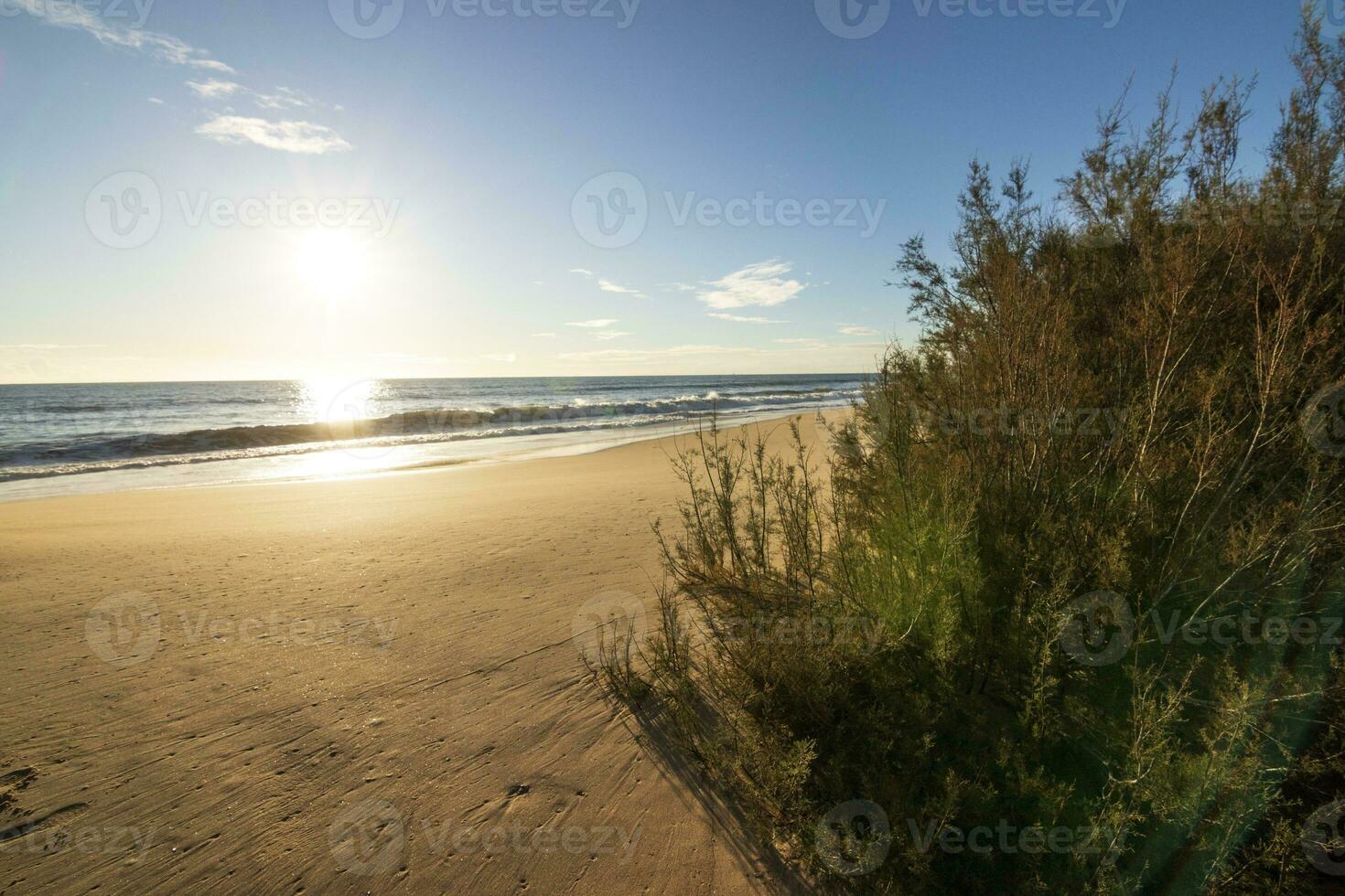 einer von das die meisten schön Strände im Spanien, namens cuesta maneli, huelva, im Spanien. umgeben durch Dünen, Vegetation und Klippen. ein Herrlich Strand. foto